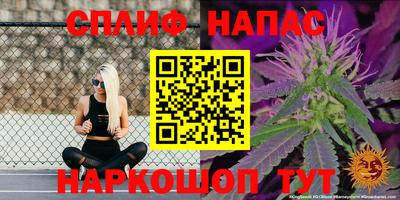 a pvp Кинель